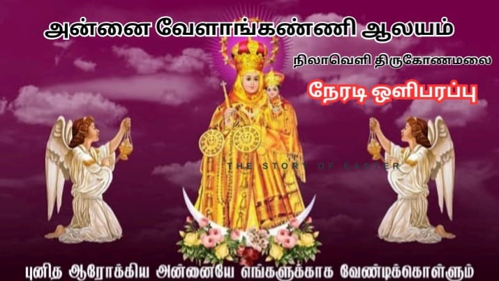🙏திருகோணமலை நிலாவெளி அன்னை வேளாங்கண்ணி ஆலய வருடாந்த திருவிழா நேரடி ஒளிபரப்பு 👉www.boomiradiotv.lk